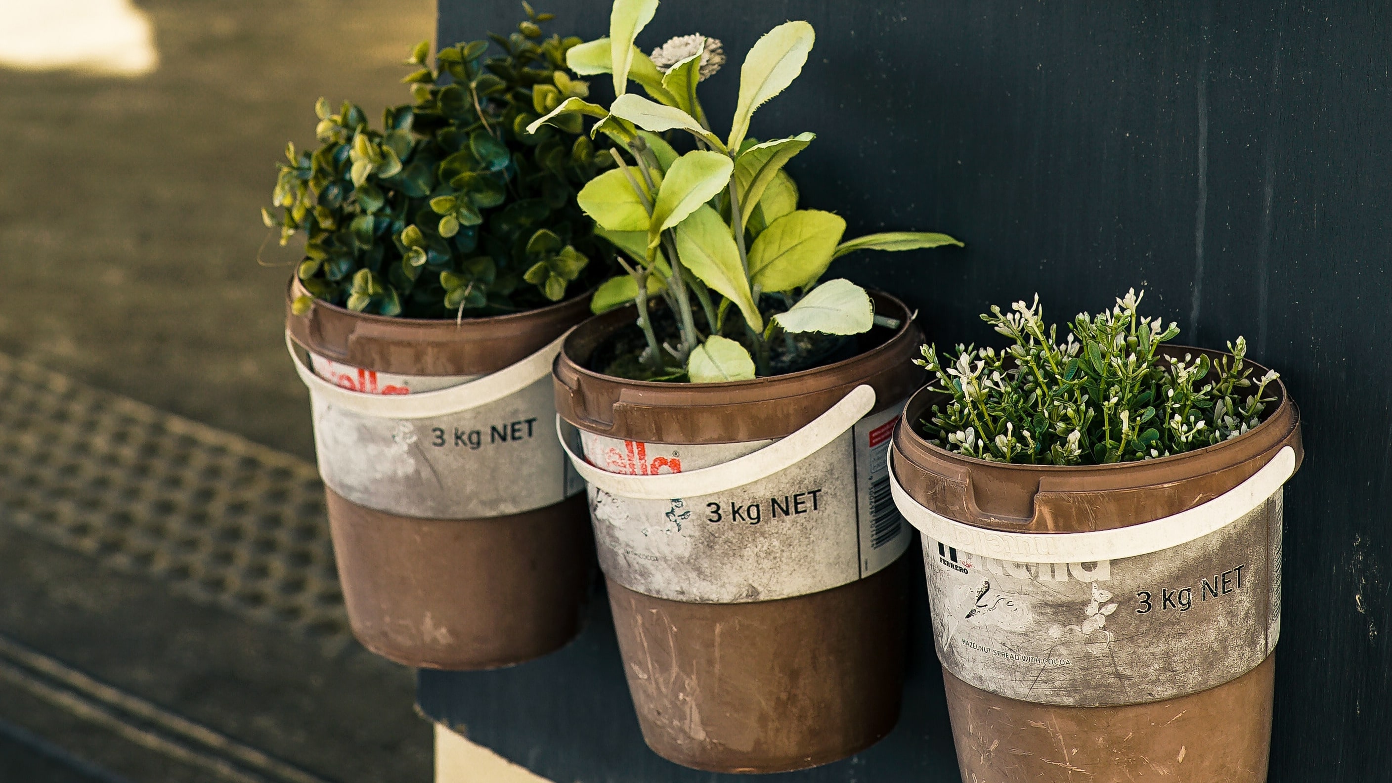 Bucket Wall Planters