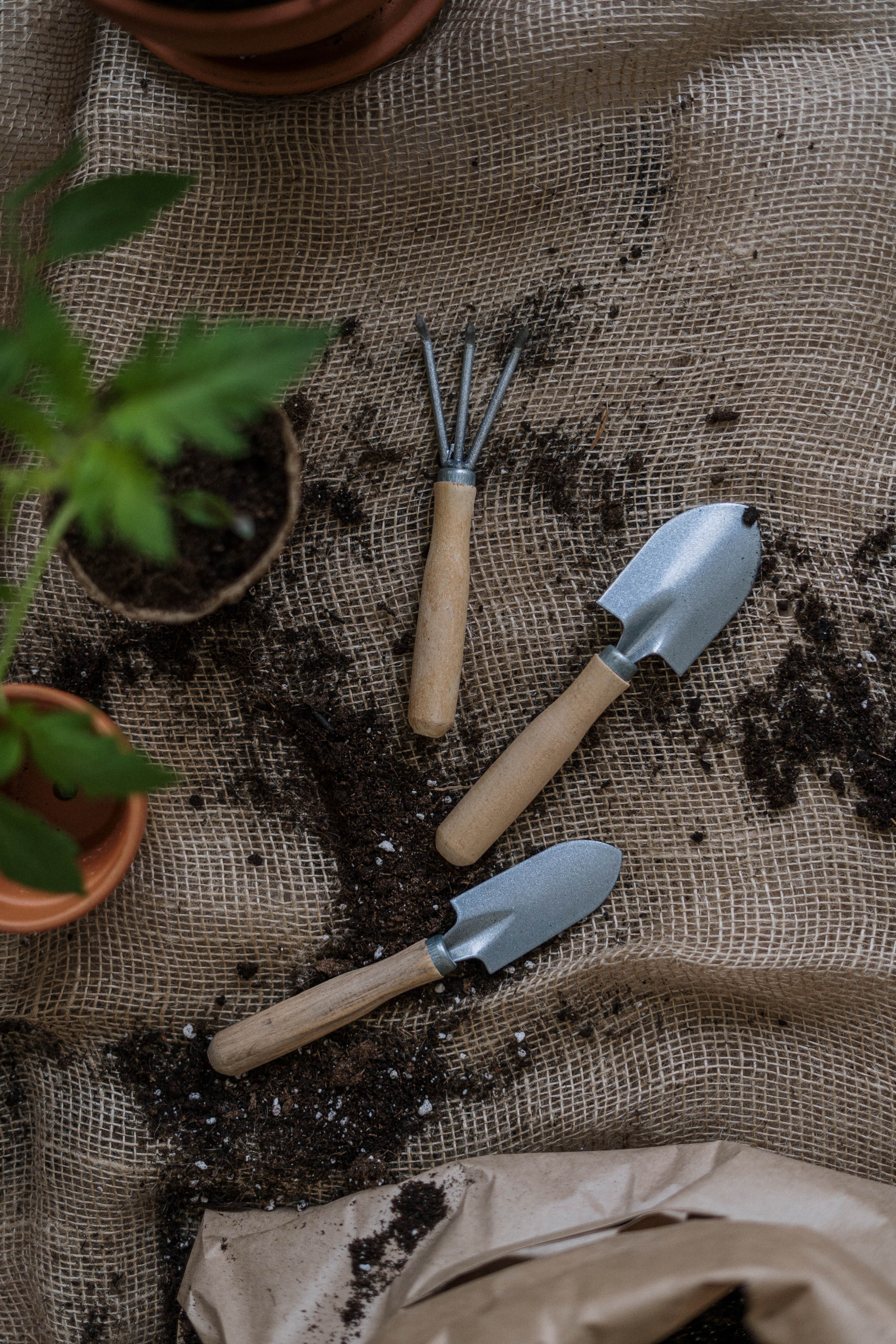 A picture of gardening tools